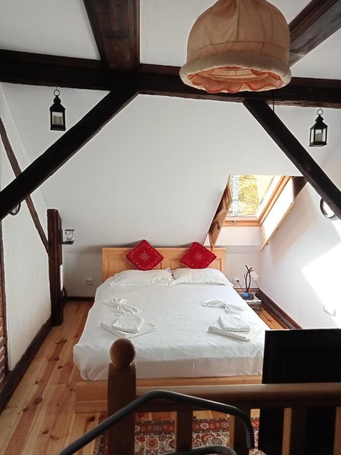 Residence Goelsch 161 Sînpetru Dış mekan fotoğraf