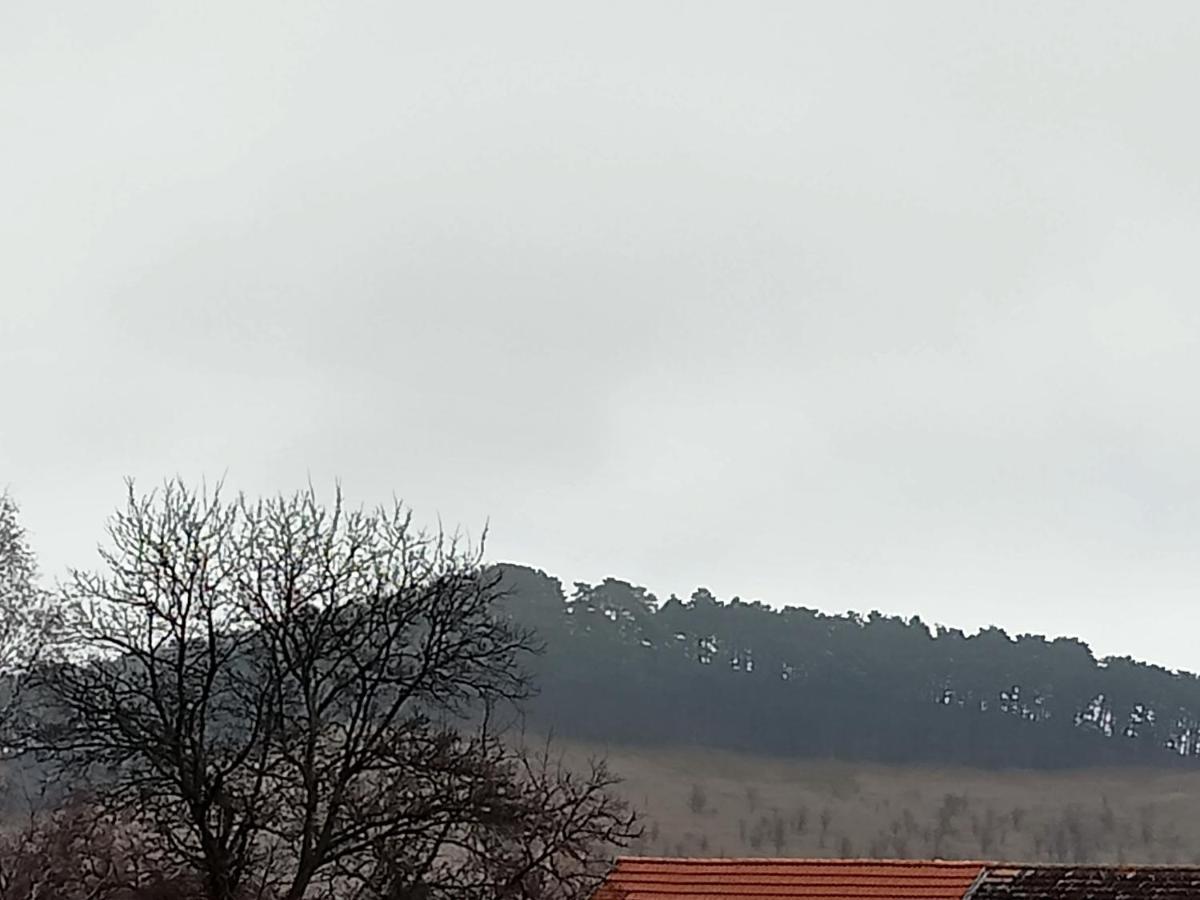 Residence Goelsch 161 Sînpetru Dış mekan fotoğraf